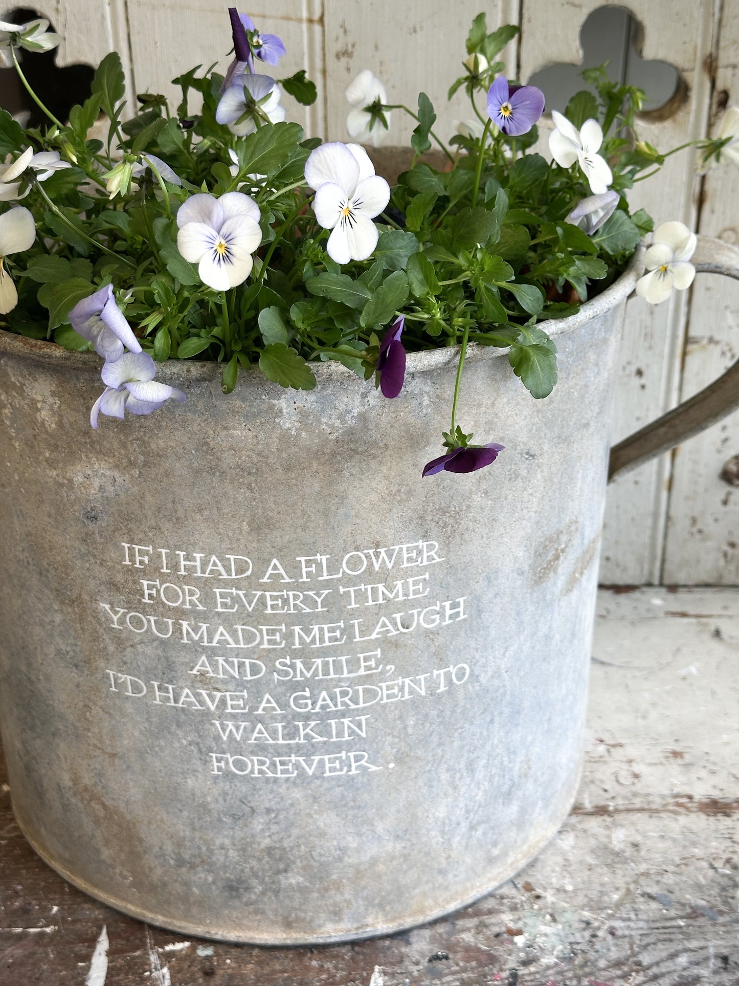 “If I had a Flower” Galvanised Garden Planter