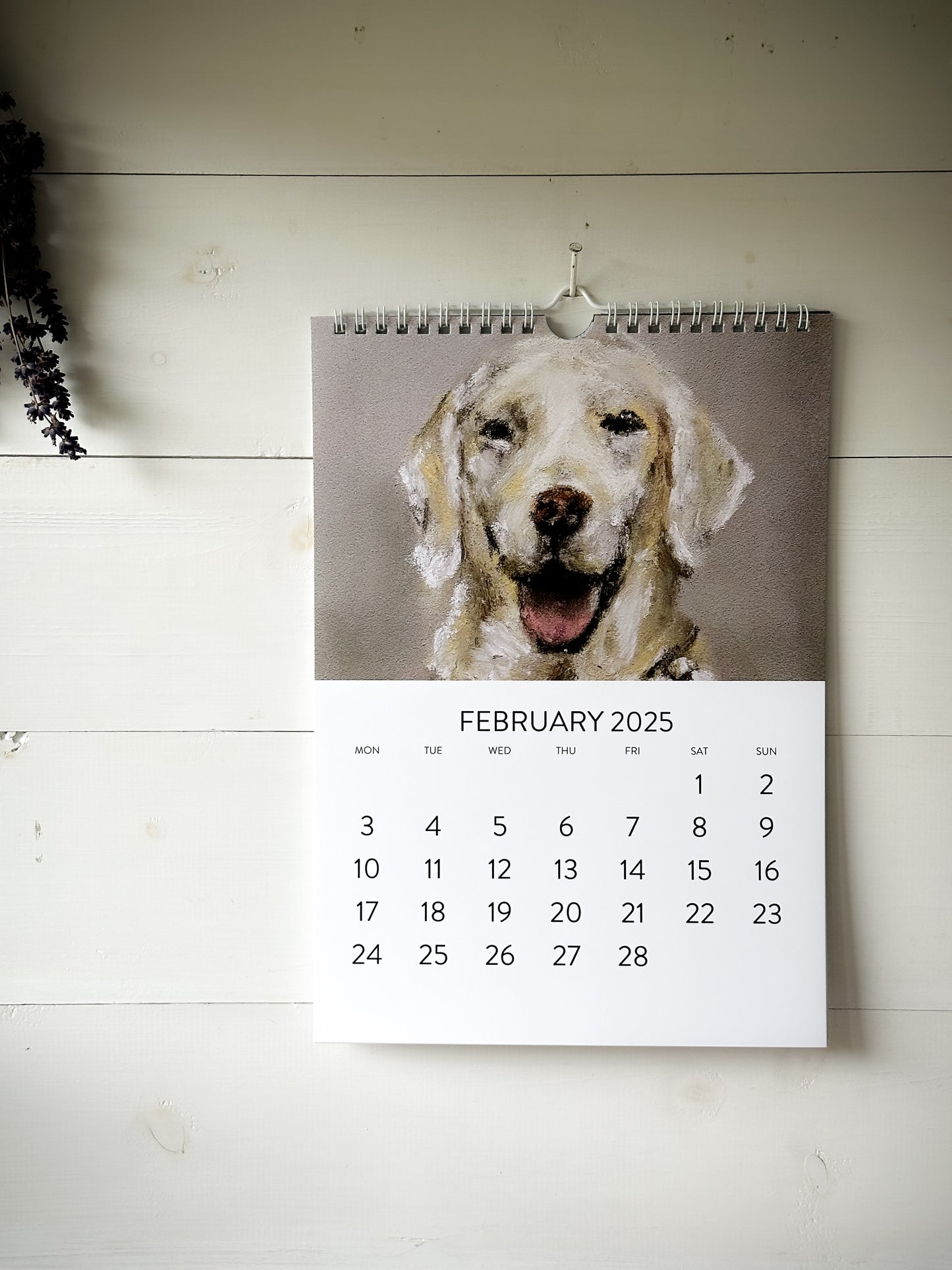 “Dogs” by Steven Nicholas Calendar 2025