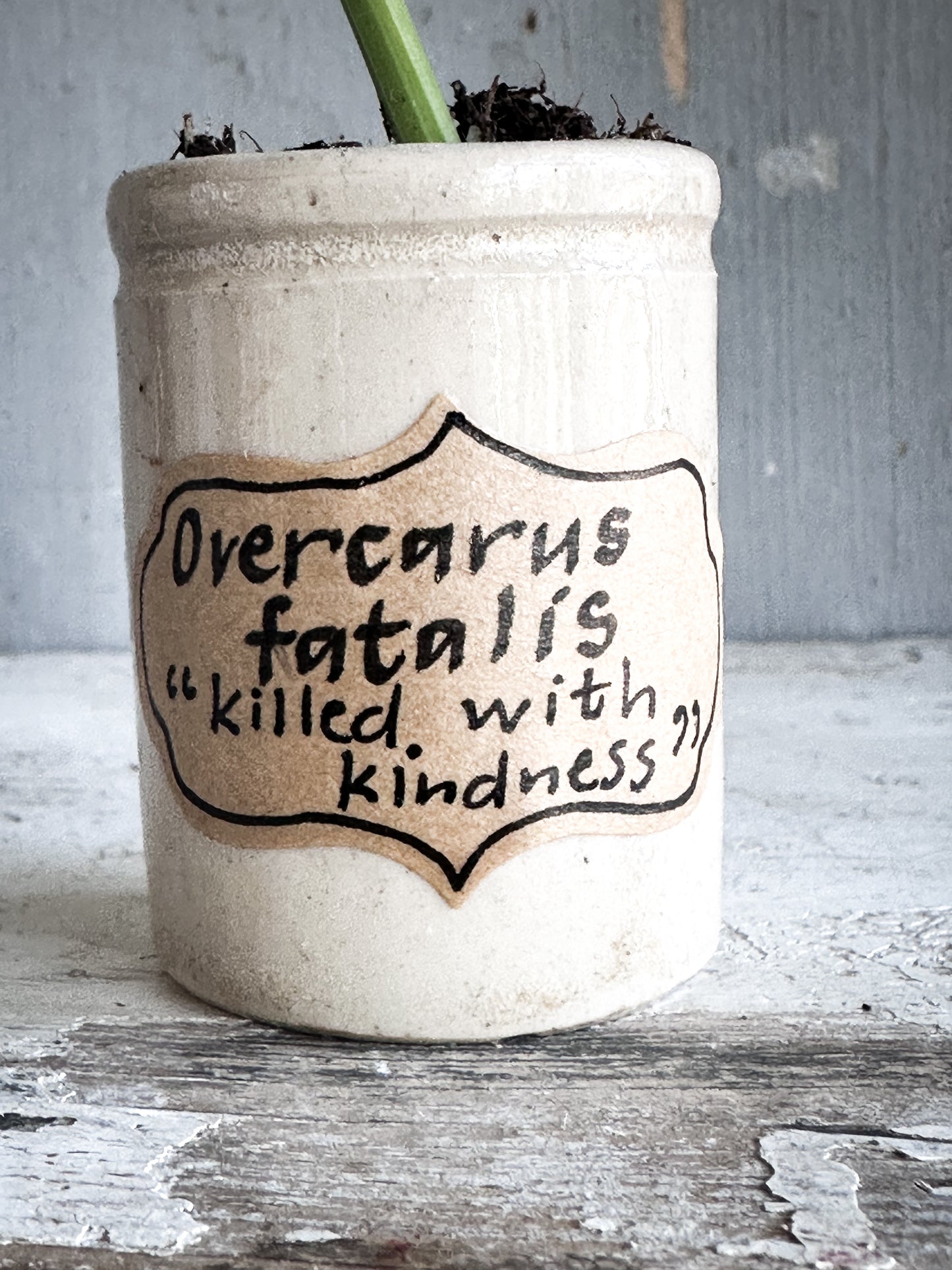 The Hopeful Gardener™ Specimen Pot