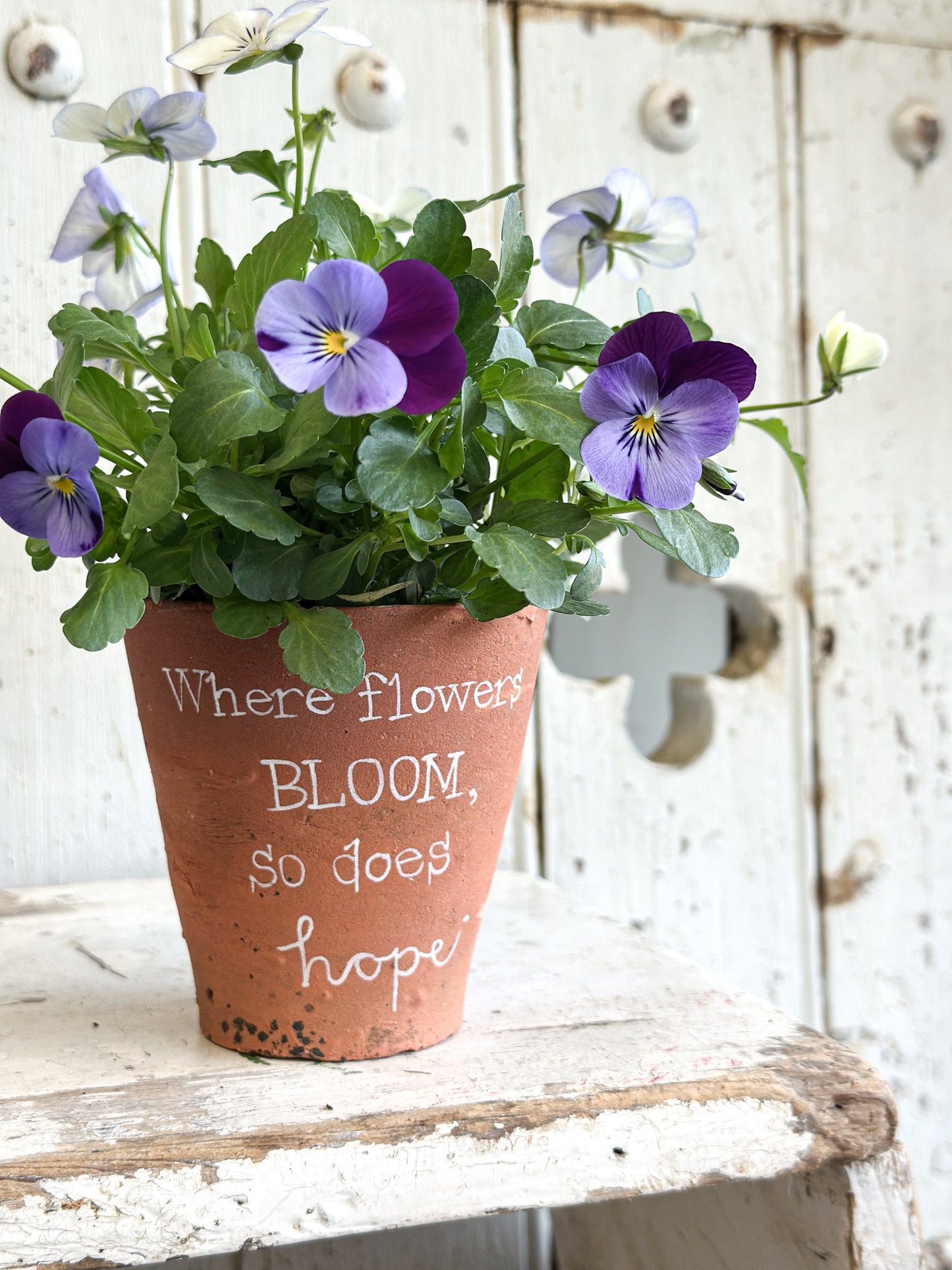 “Where Flowers Bloom” Terracotta Plant Pot