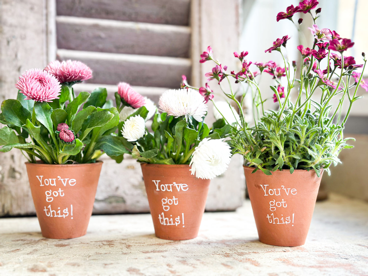 “You’ve Got This”  Mini Terracotta Plant Pot