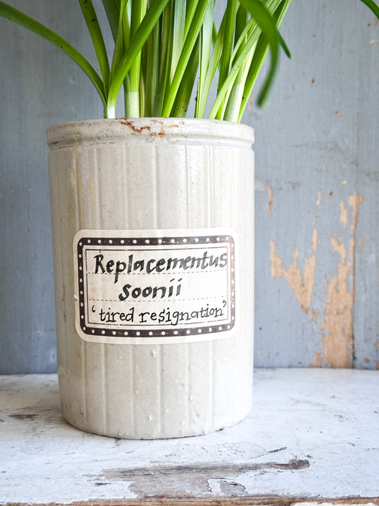 The Hopeful Gardener™ Specimen Pot