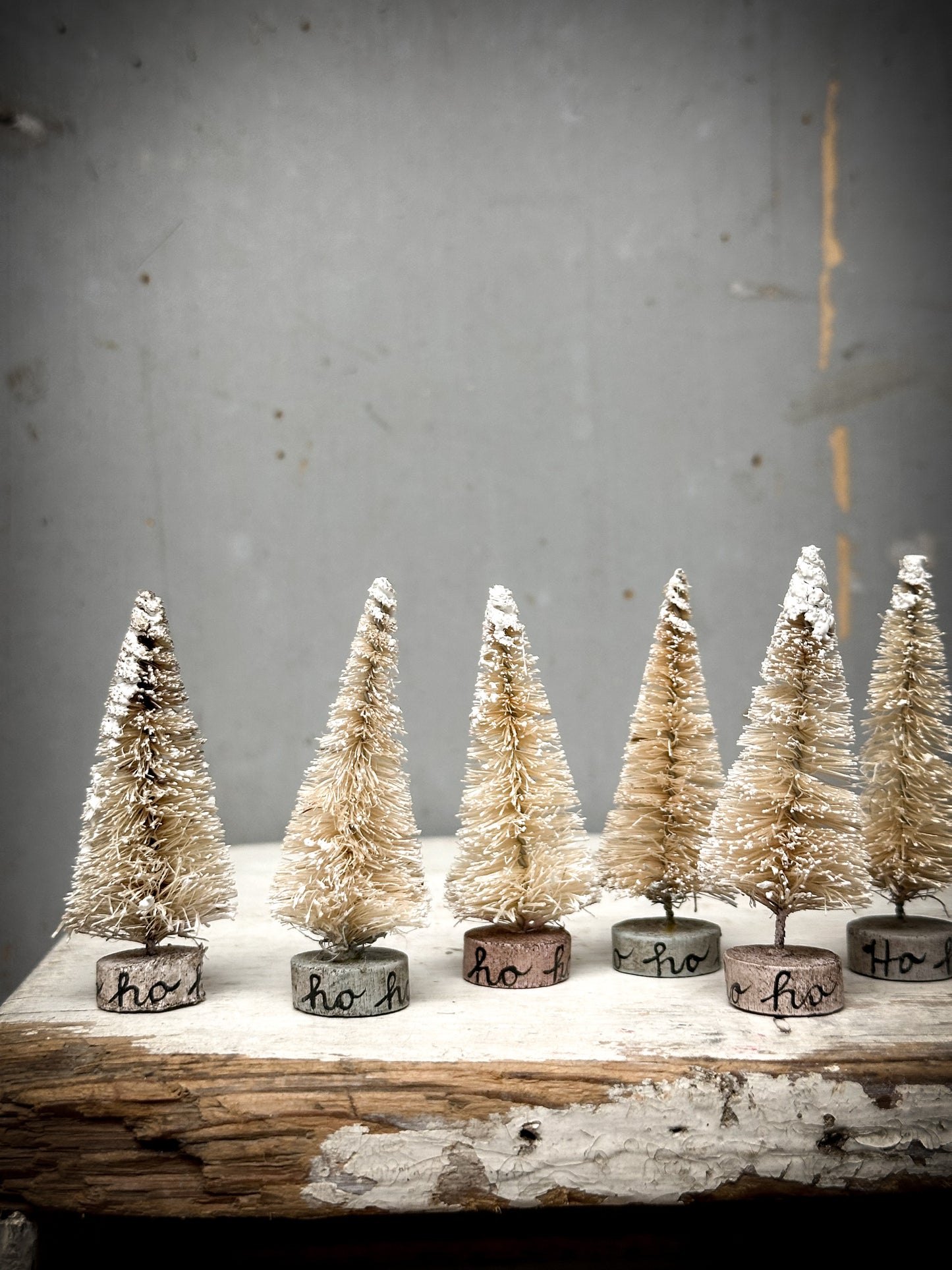 A Small Painted Bottle Brush Tree “Ho Ho Ho”