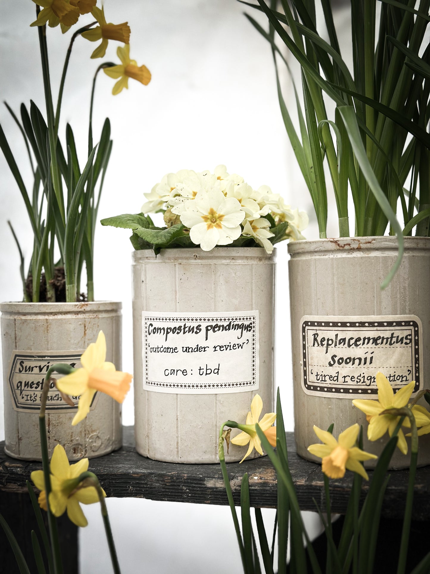 The Hopeful Gardener™ Specimen Pot “