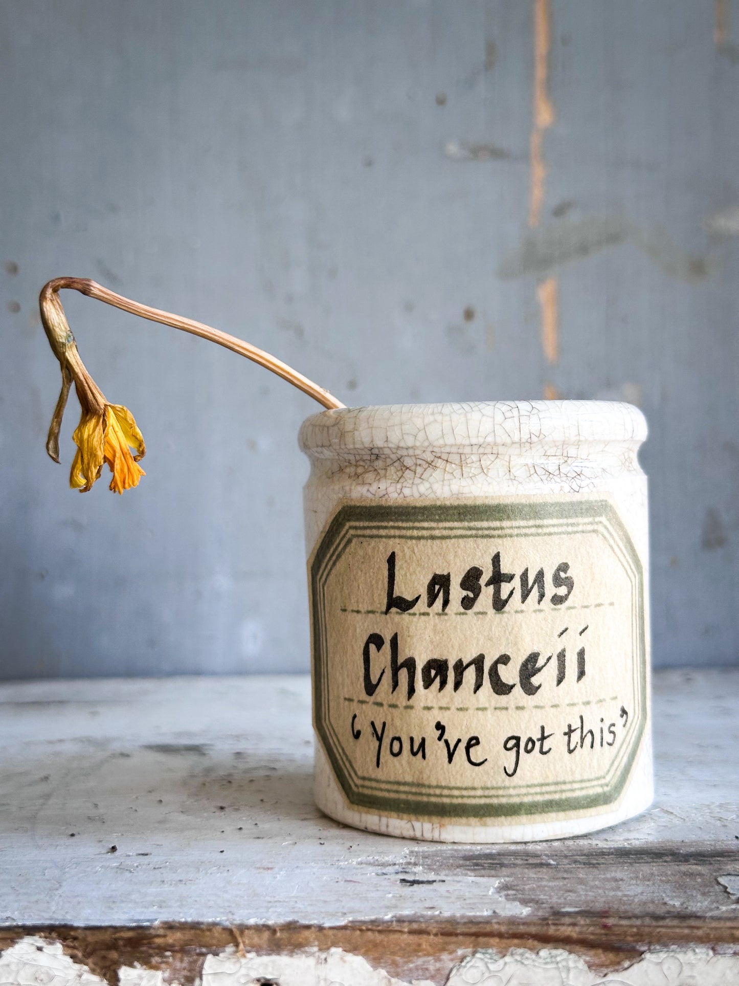 The Hopeful Gardener™ Specimen Pot