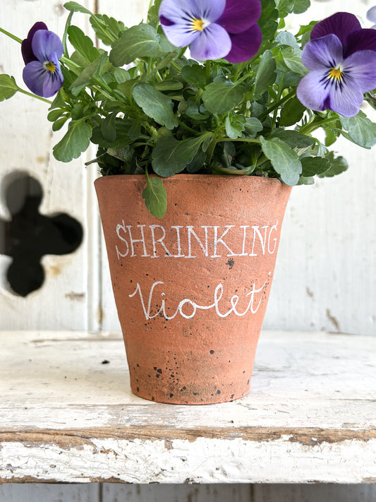 “Shrinking Violet” Terracotta Plant Pot