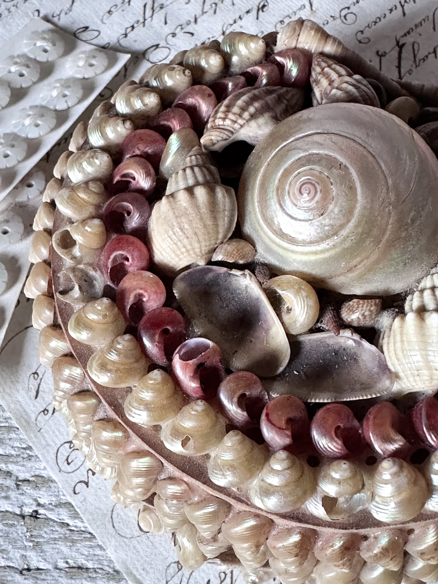 Antique Shell Art Jewellery Box – Decorative Coastal Trinket Box