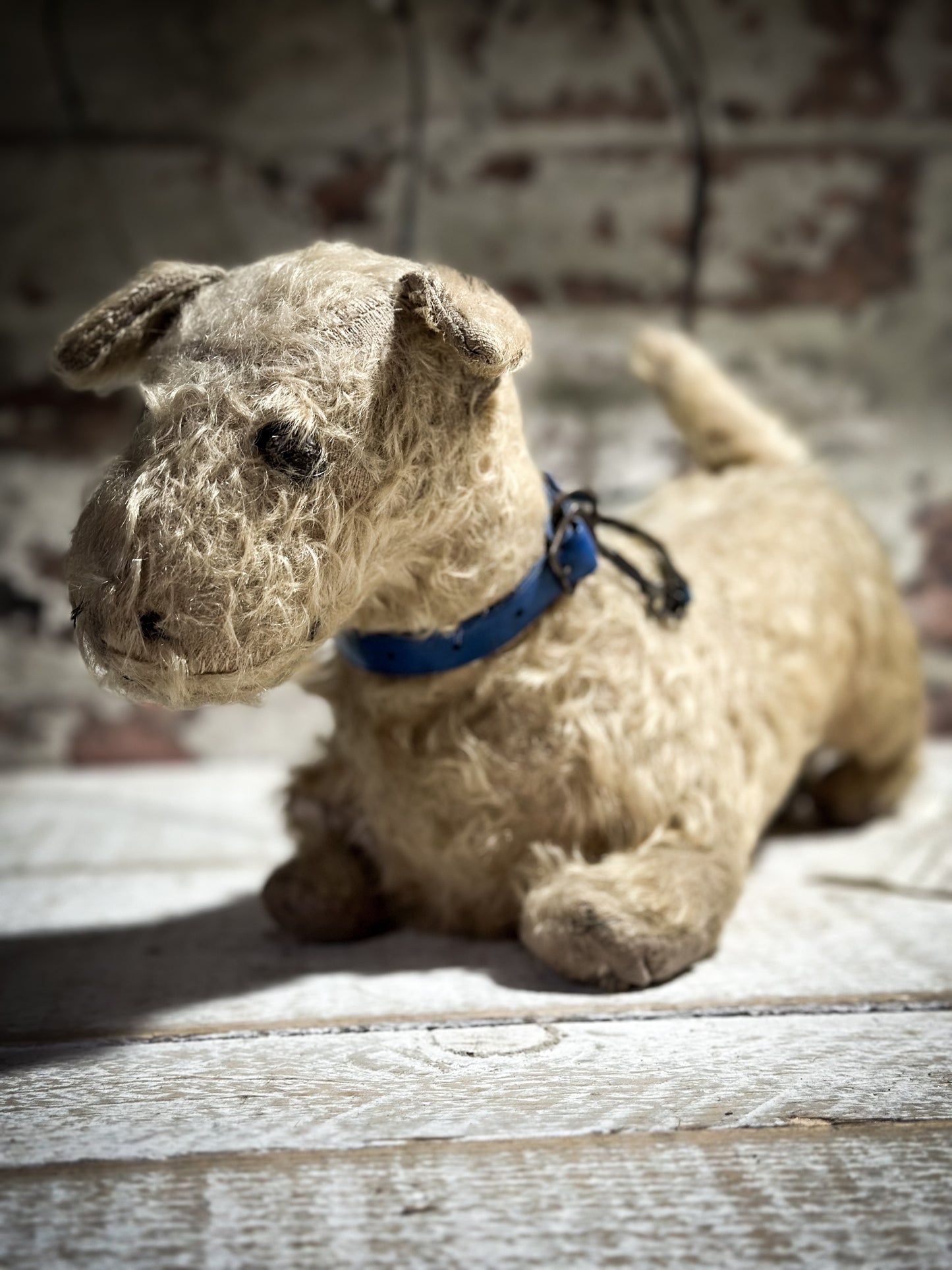 Antique Dean’s Ragbook Mohair toy Dachshund