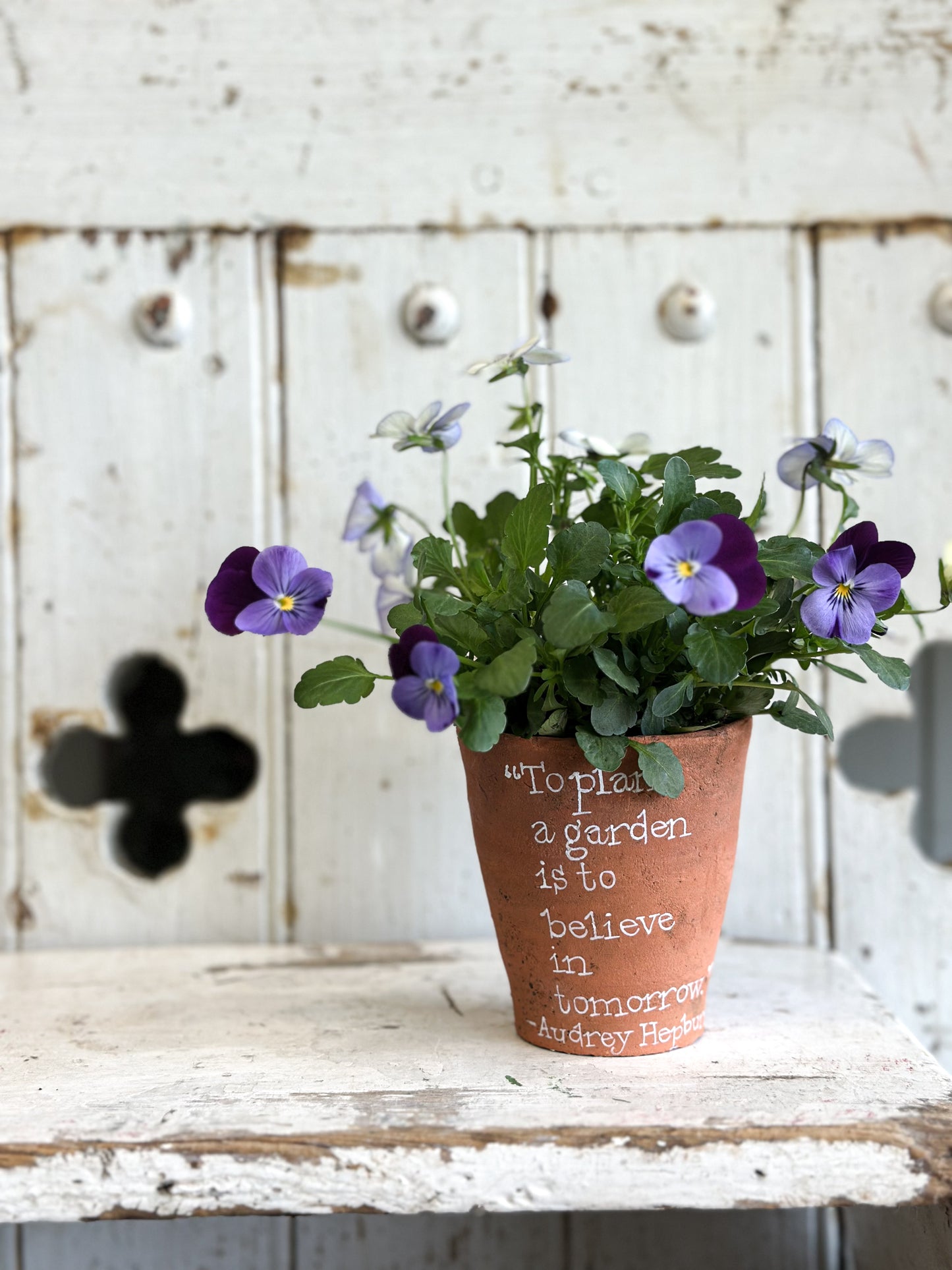 “To Plant a Garden” Terracotta Plant Pot