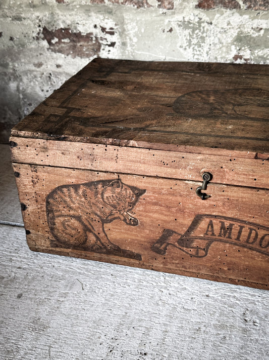 Amidon Au Chat Diplome D’ Honneur Shop Counter Box