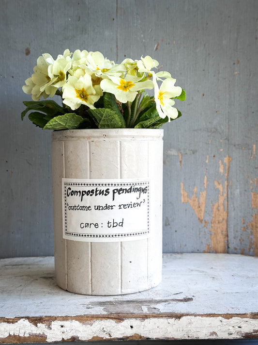 The Hopeful Gardener™ Specimen Pot “