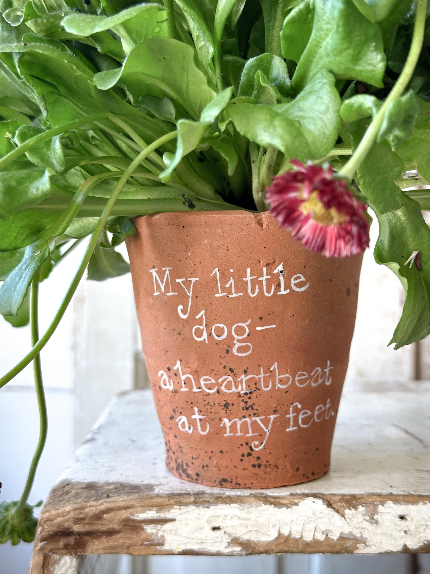 A Victorian terracotta pot with a quote “ My Little Dog”