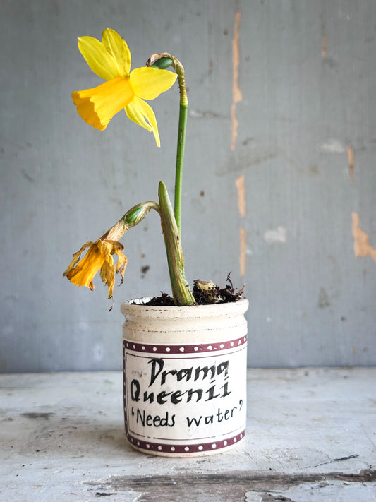 The Hopeful Gardener™ Specimen Pot