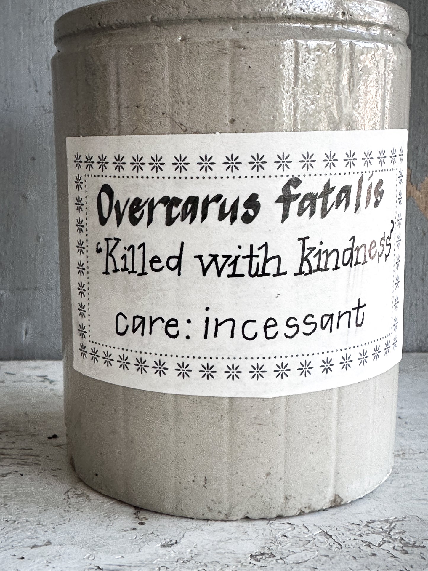 The Hopeful Gardener™ Specimen Pot