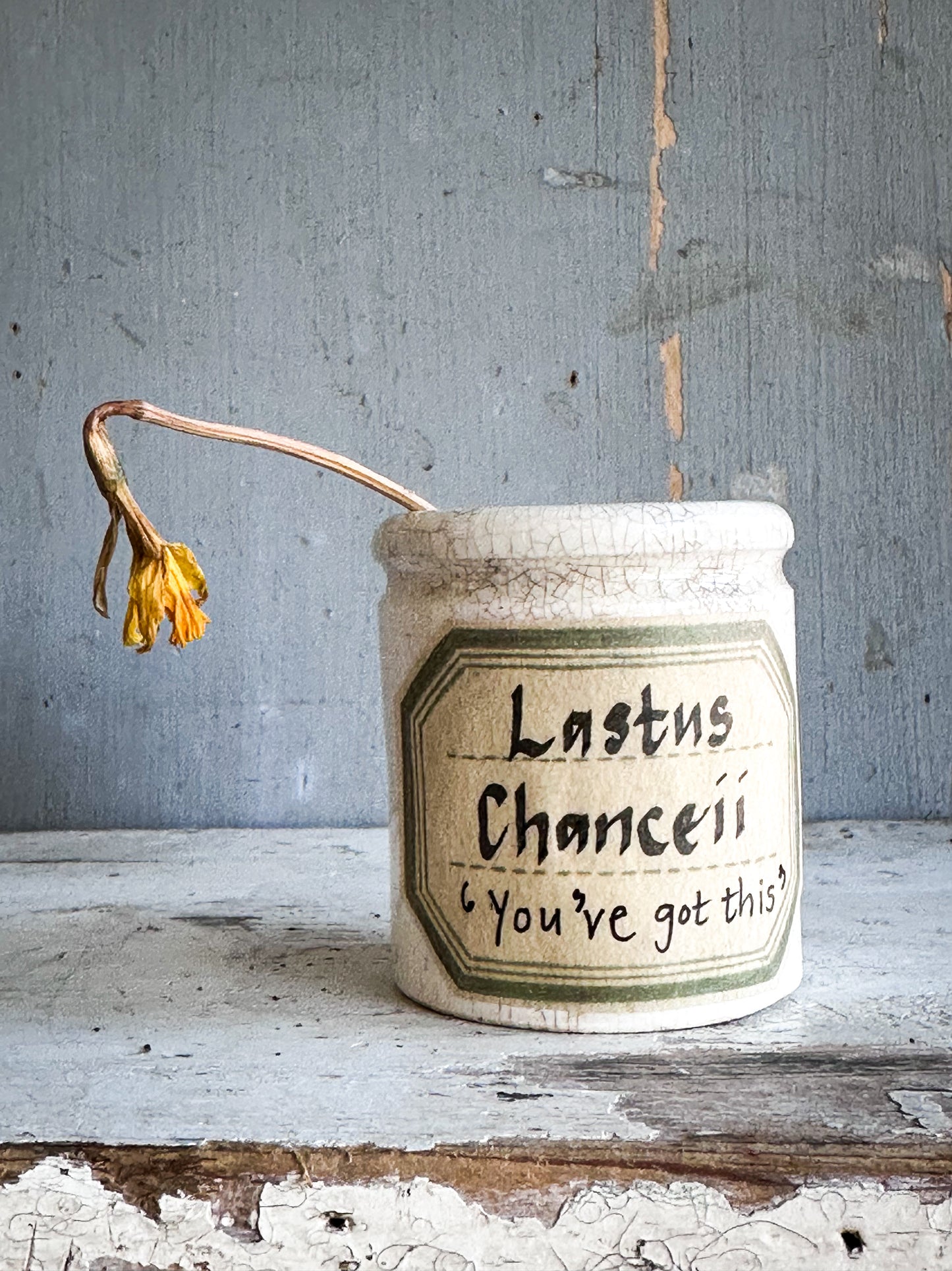 The Hopeful Gardener™ Specimen Pot