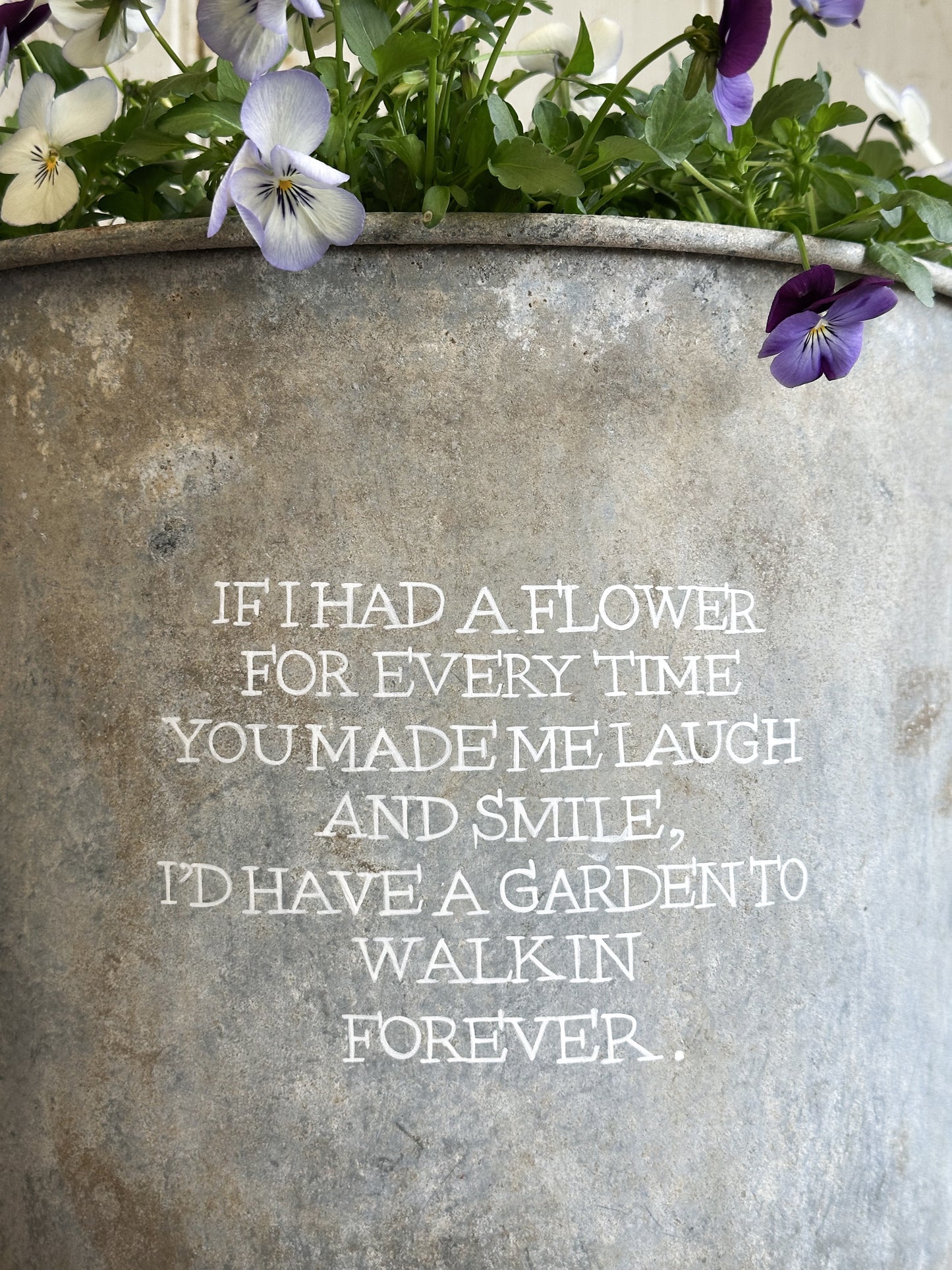 “If I had a Flower” Galvanised Garden Planter