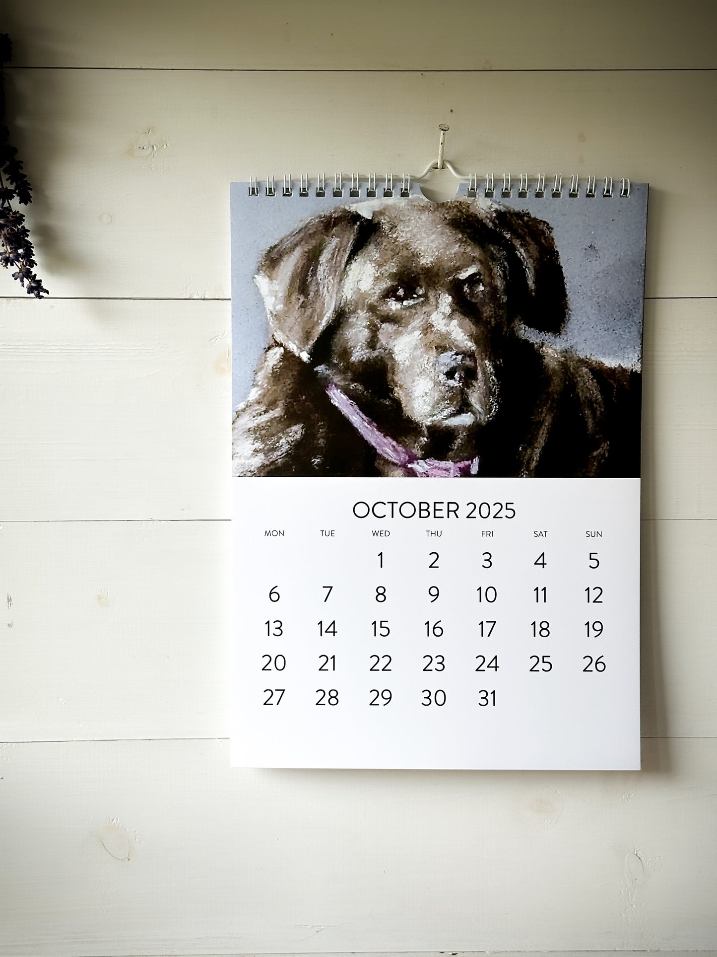 “Dogs” by Steven Nicholas Calendar 2025