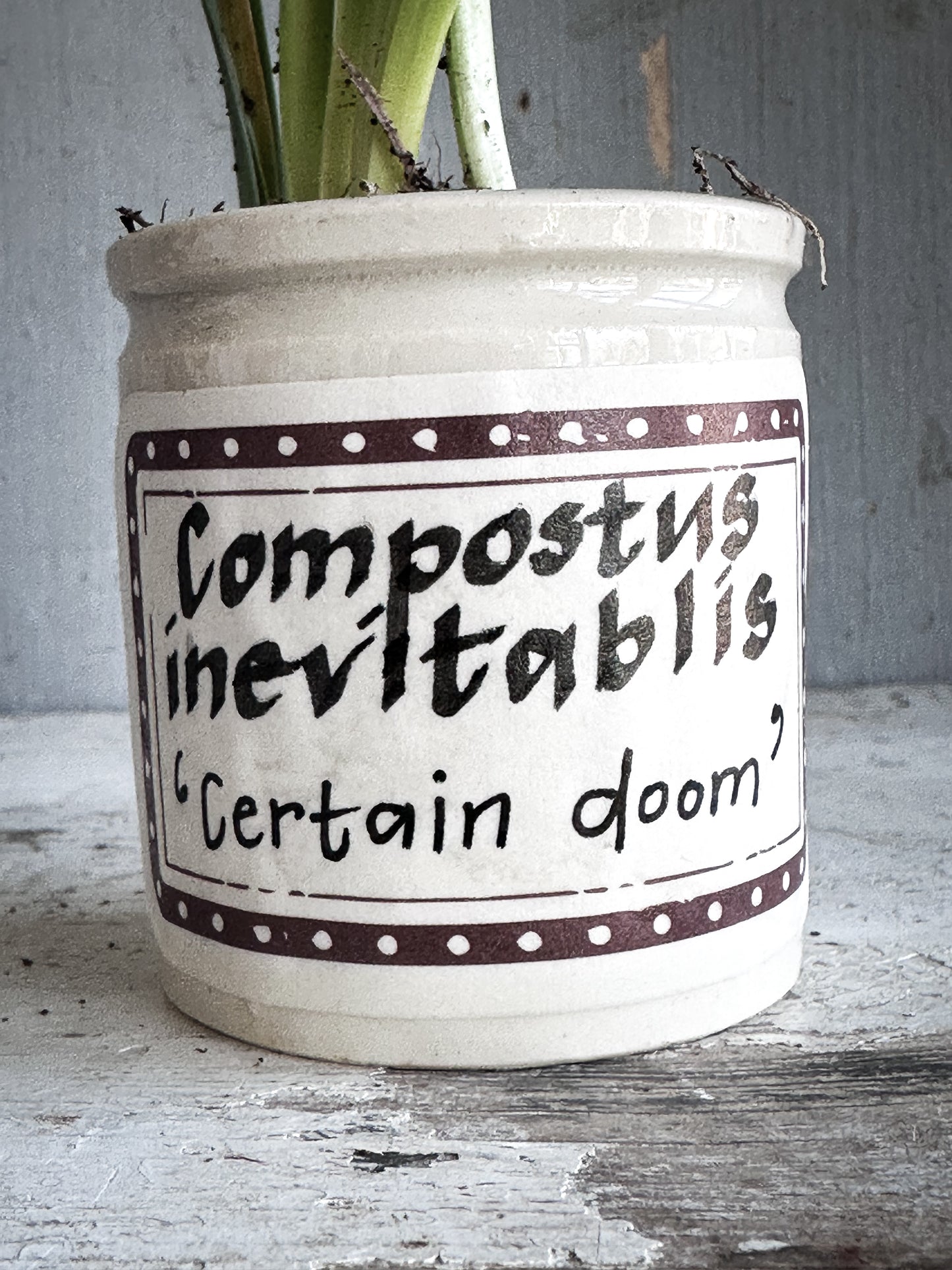 The Hopeful Gardener™ Specimen Pot