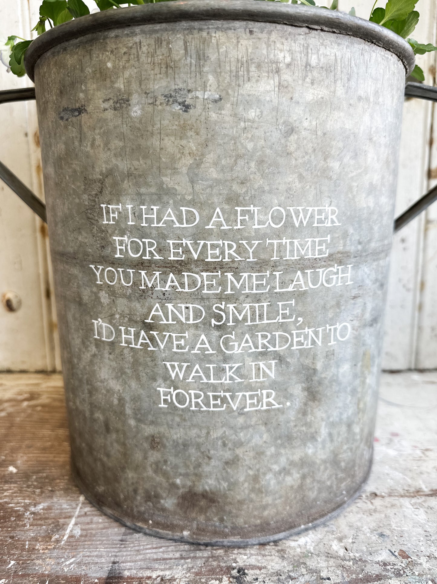 “If I Had a Flower” Galvanised Garden Planter